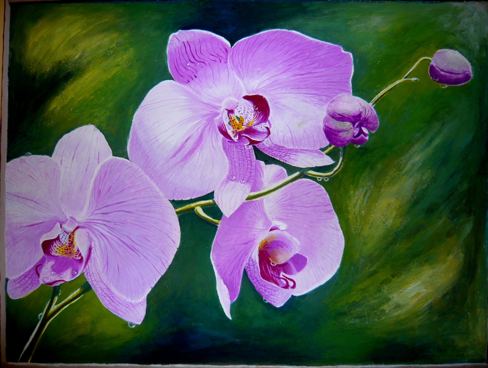 Orchid A Painting A Week